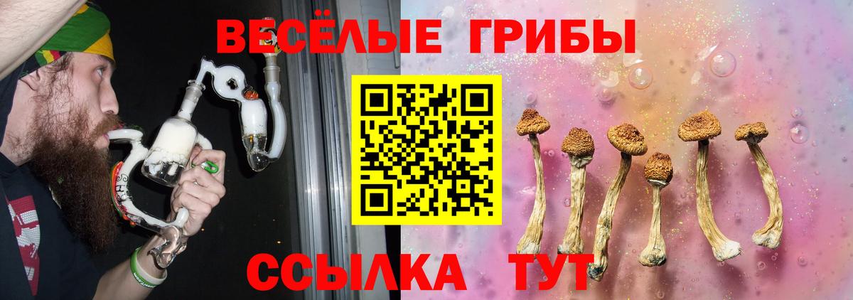 Галлюциногенные грибы мухоморы Тулун