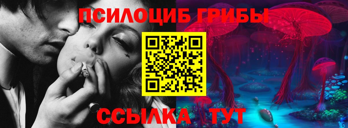 Галлюциногенные грибы Magic Shrooms  Вход с VPN  Тулун 